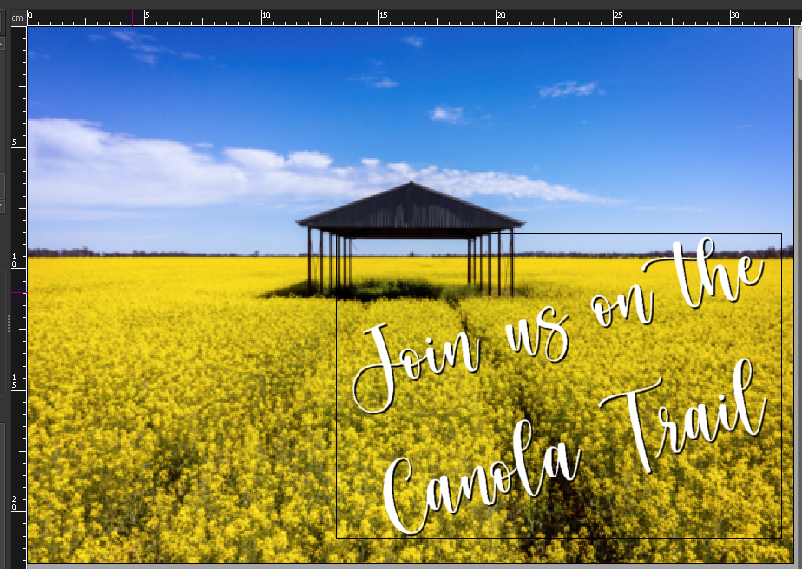 studio_tpy-layout-2